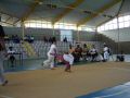 galo entredeux 01.jpg